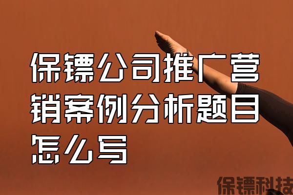 保鏢公司推廣營銷案例分析題目怎么寫