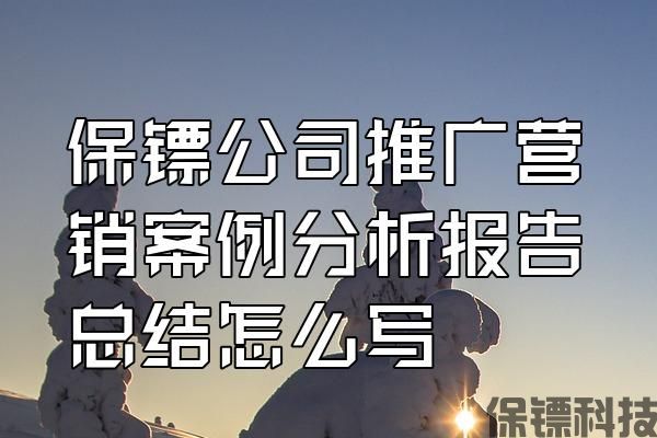 保鏢公司推廣營銷案例分析報告總結怎么寫