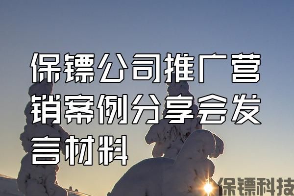 保鏢公司推廣營銷案例分享會發言材料