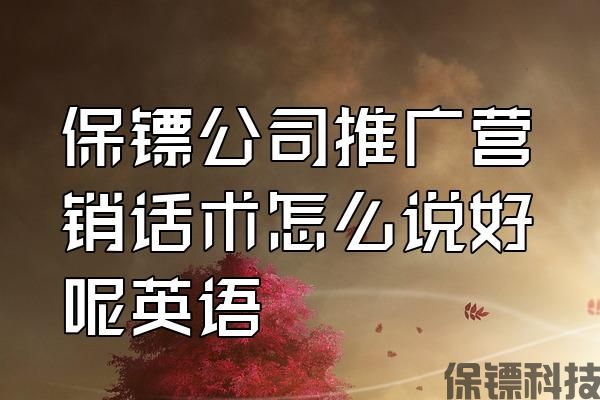 保鏢公司推廣營銷話術怎么說好呢英語