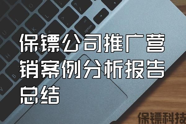保鏢公司推廣營(yíng)銷案例分析報(bào)告總結(jié)