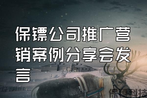 保鏢公司推廣營銷案例分享會發言
