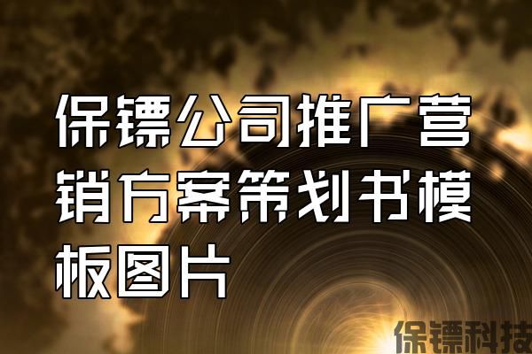 保鏢公司推廣營銷方案策劃書模板圖片