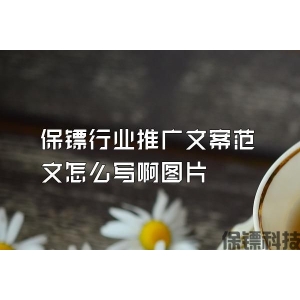 保鏢行業推廣文案范文怎么寫啊圖片