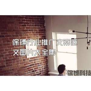 保鏢行業推廣文案范文圖片大全集