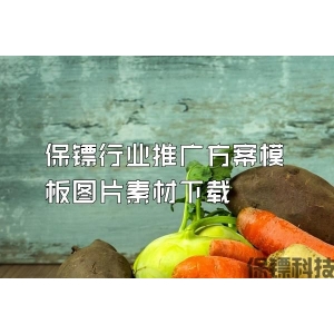 保鏢行業推廣方案模板圖片素材下載
