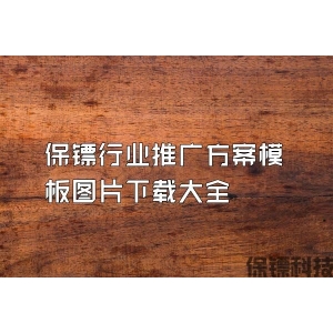 保鏢行業推廣方案模板圖片下載大全