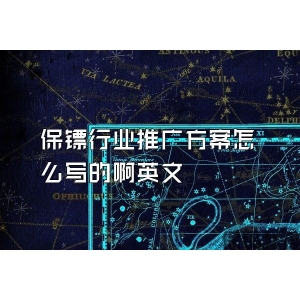 保鏢行業(yè)推廣方案怎么寫的啊英文