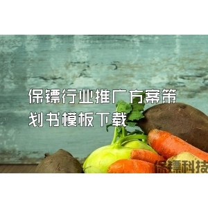 保鏢行業推廣方案策劃書模板下載