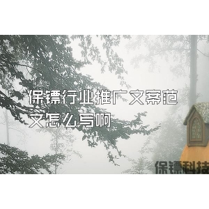 保鏢行業推廣文案范文怎么寫啊