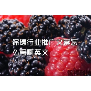 保鏢行業推廣文案怎么寫啊英文
