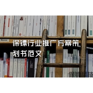 保鏢行業推廣方案策劃書范文