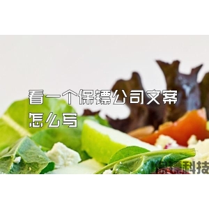 看一個保鏢公司文案怎么寫