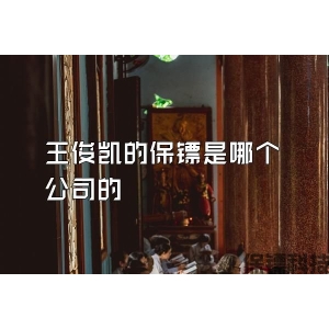 王俊凱的保鏢是哪個公司的