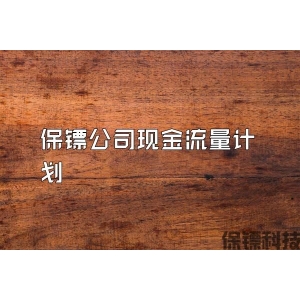 保鏢公司現金流量計劃