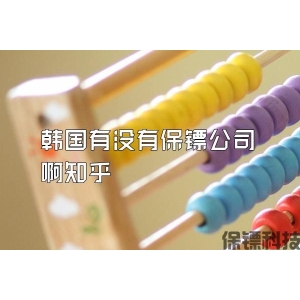 韓國(guó)有沒有保鏢公司啊知乎