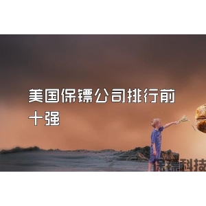 美國保鏢公司排行前十強