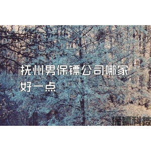 撫州男保鏢公司哪家好一點