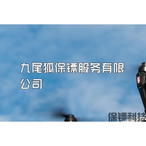 九尾狐保鏢服務有限公司