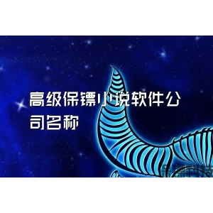 高級(jí)保鏢小說(shuō)軟件公司名稱