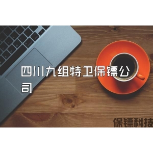 四川九組特衛保鏢公司