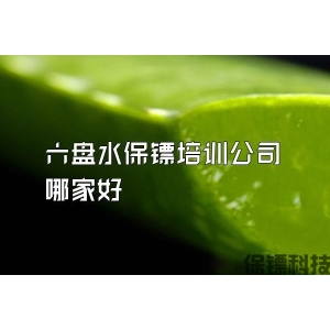 六盤水保鏢培訓公司哪家好