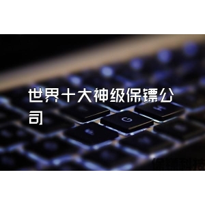 世界十大神級保鏢公司