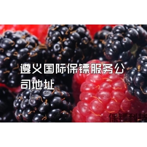 遵義國際保鏢服務公司地址