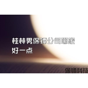 桂林男保鏢公司哪家好一點