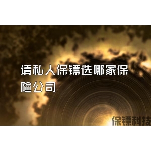 請私人保鏢選哪家保險公司