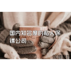 國內知名度的私人保鏢公司