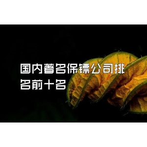 國內著名保鏢公司排名前十名