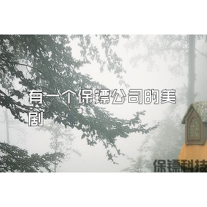 有一個保鏢公司的美劇
