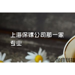 上海保鏢公司那一家專業(yè)