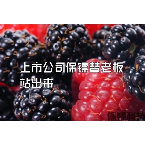 上市公司保鏢替老板站出來