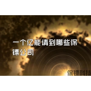 一個億能請到哪些保鏢公司