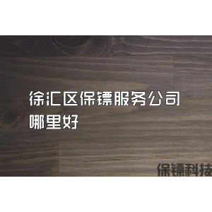 徐匯區(qū)保鏢服務公司哪里好