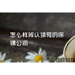 怎么樣辨認領導的保鏢公司
