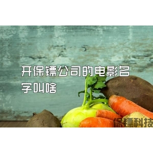開保鏢公司的電影名字叫啥