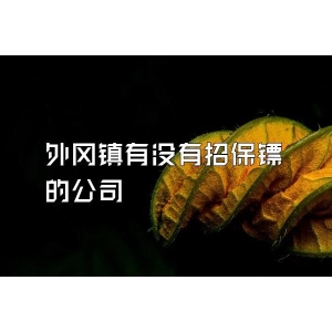 外岡鎮有沒有招保鏢的公司