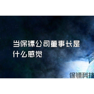 當保鏢公司董事長是什么感覺