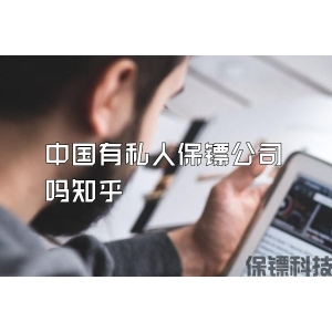 中國有私人保鏢公司嗎知乎
