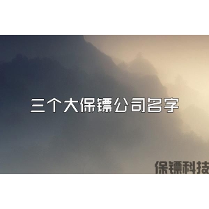 三個大保鏢公司名字