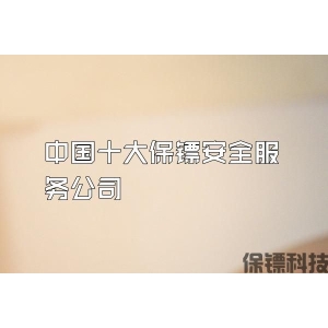 中國(guó)十大保鏢安全服務(wù)公司