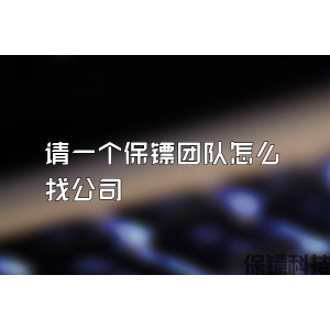 請(qǐng)一個(gè)保鏢團(tuán)隊(duì)怎么找公司