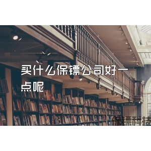 買什么保鏢公司好一點呢
