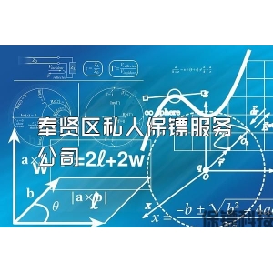 奉賢區私人保鏢服務公司