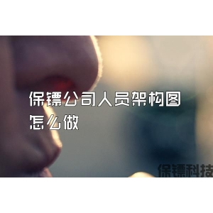 保鏢公司人員架構圖怎么做