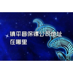 鎮平縣保鏢公司地址在哪里