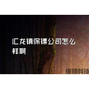 匯龍鎮保鏢公司怎么樣啊